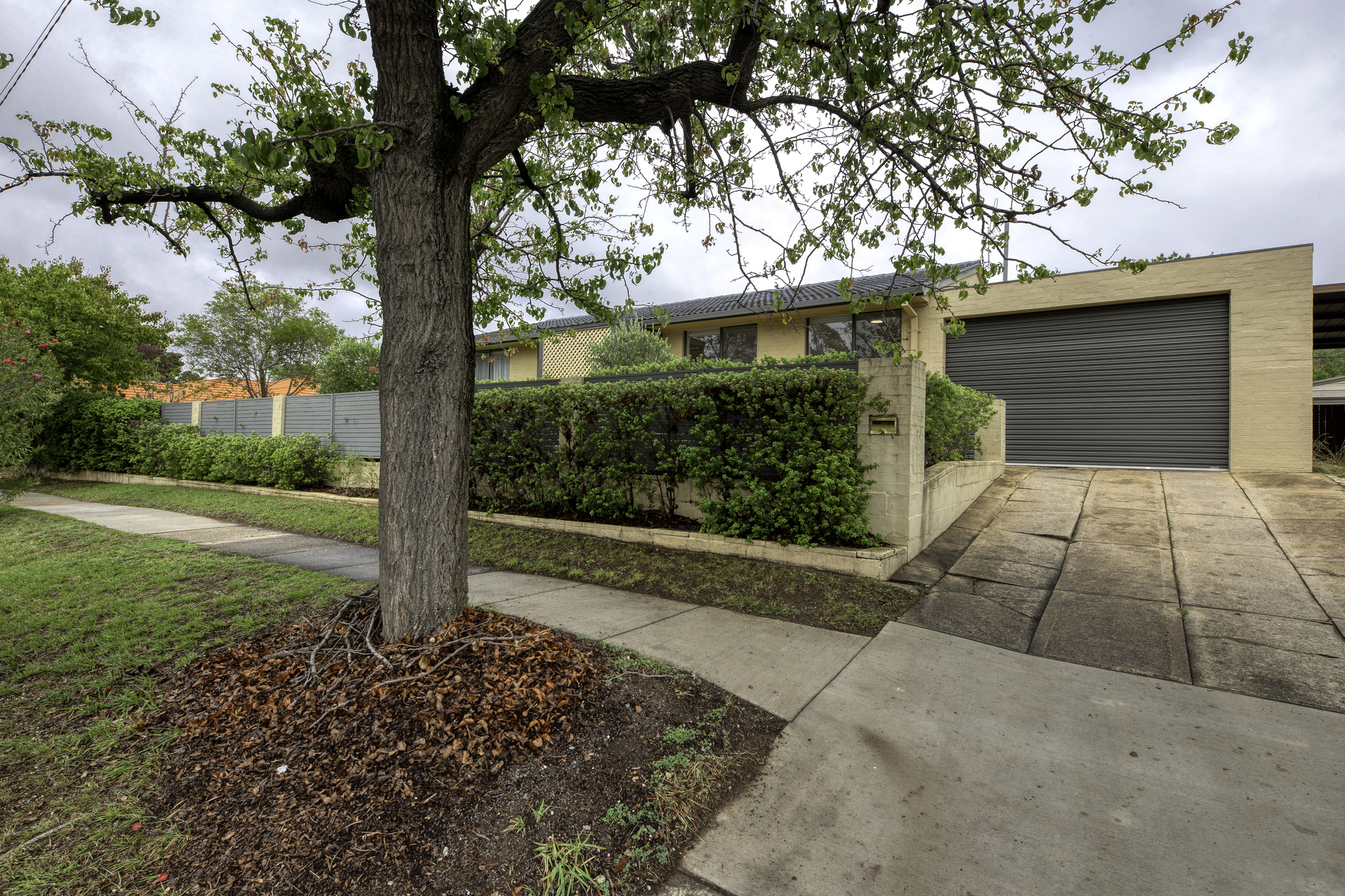 39 Carruthers Street, Curtin ACT 2605, Curtin - Thumbnail 2