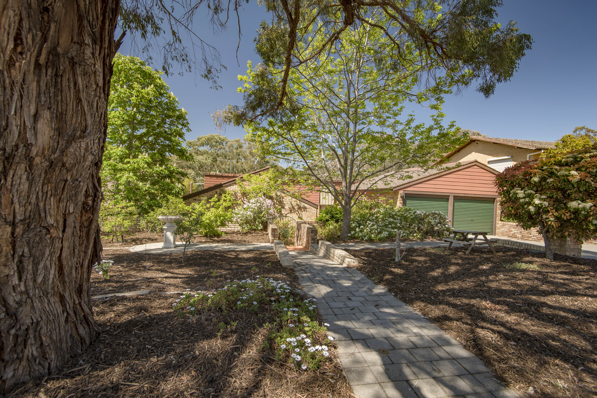48 Drevermann Street, FARRER ACT 2607, Farrer - Thumbnail 4
