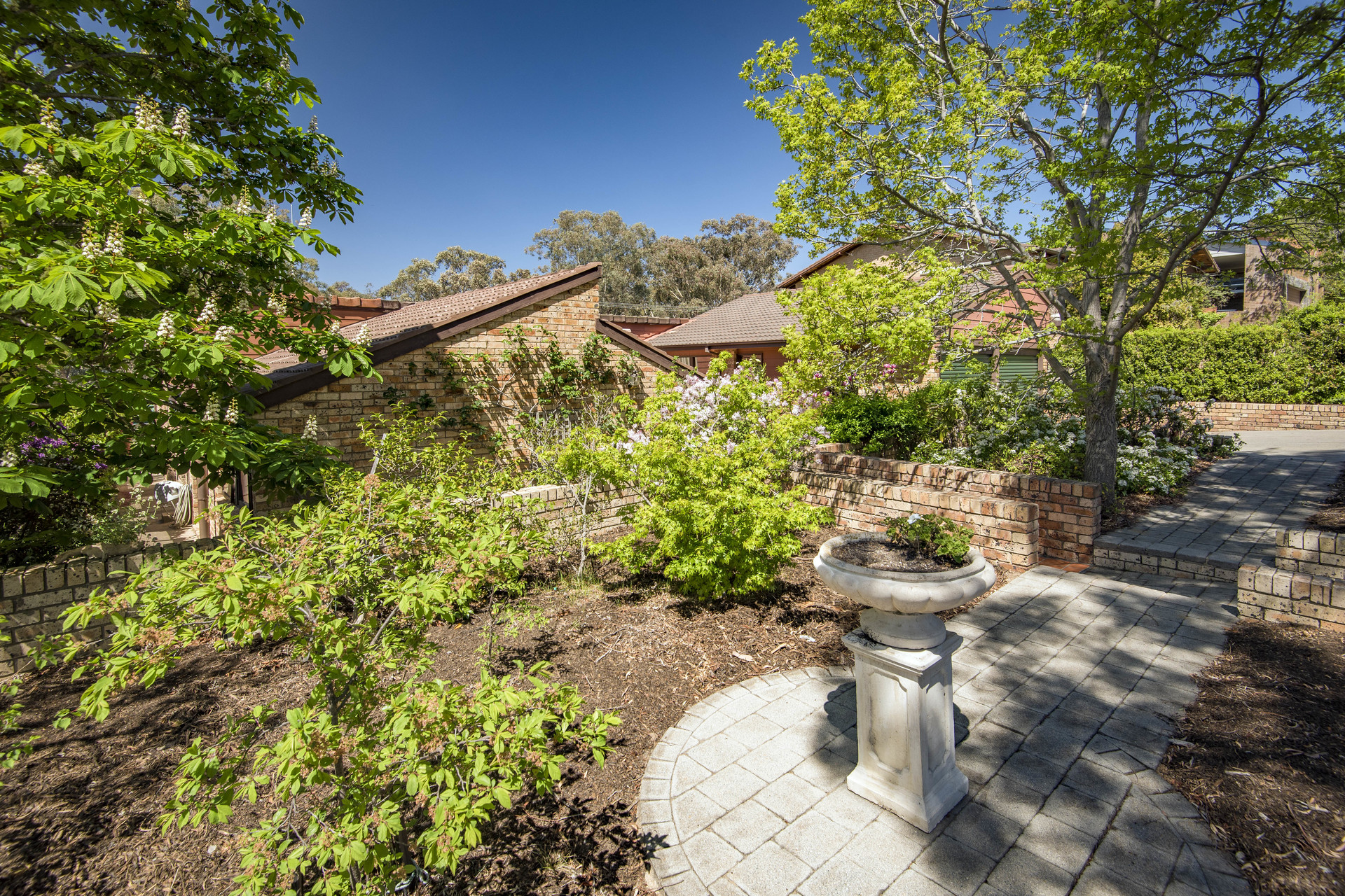 48 Drevermann Street, FARRER ACT 2607, Farrer - Thumbnail 5