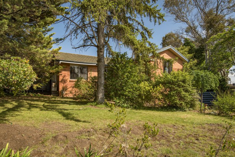 Preview image for Buy