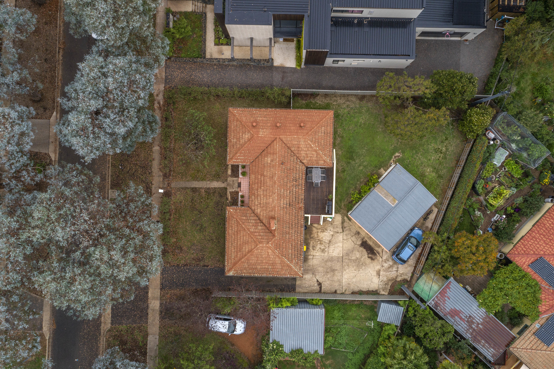16 Schomburgk Street, Yarralumla ACT 2600, Yarralumla - Thumbnail 4