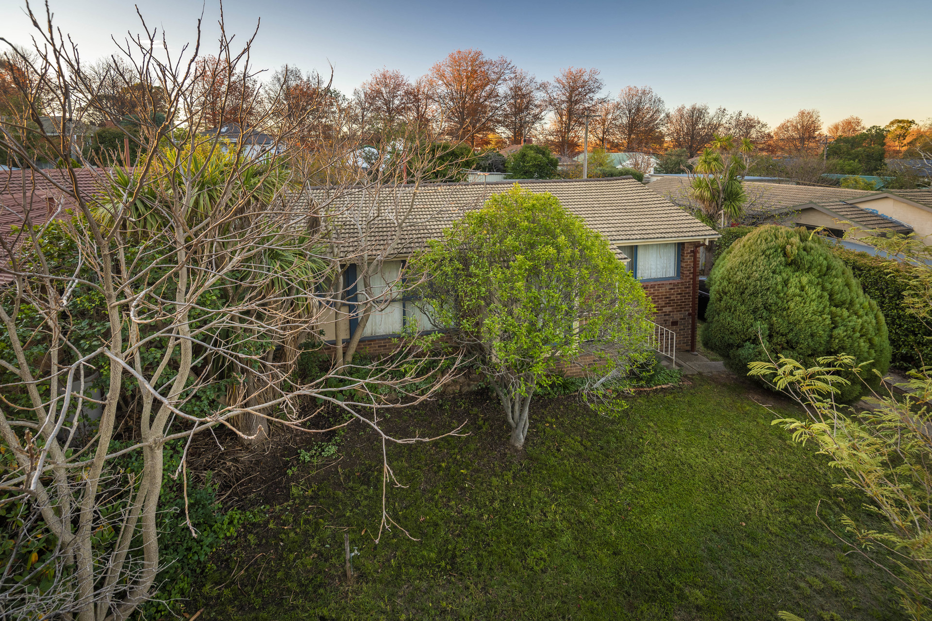 51 Tallara Parkway, Narrabundah ACT 2604, Narrabundah - Thumbnail 7