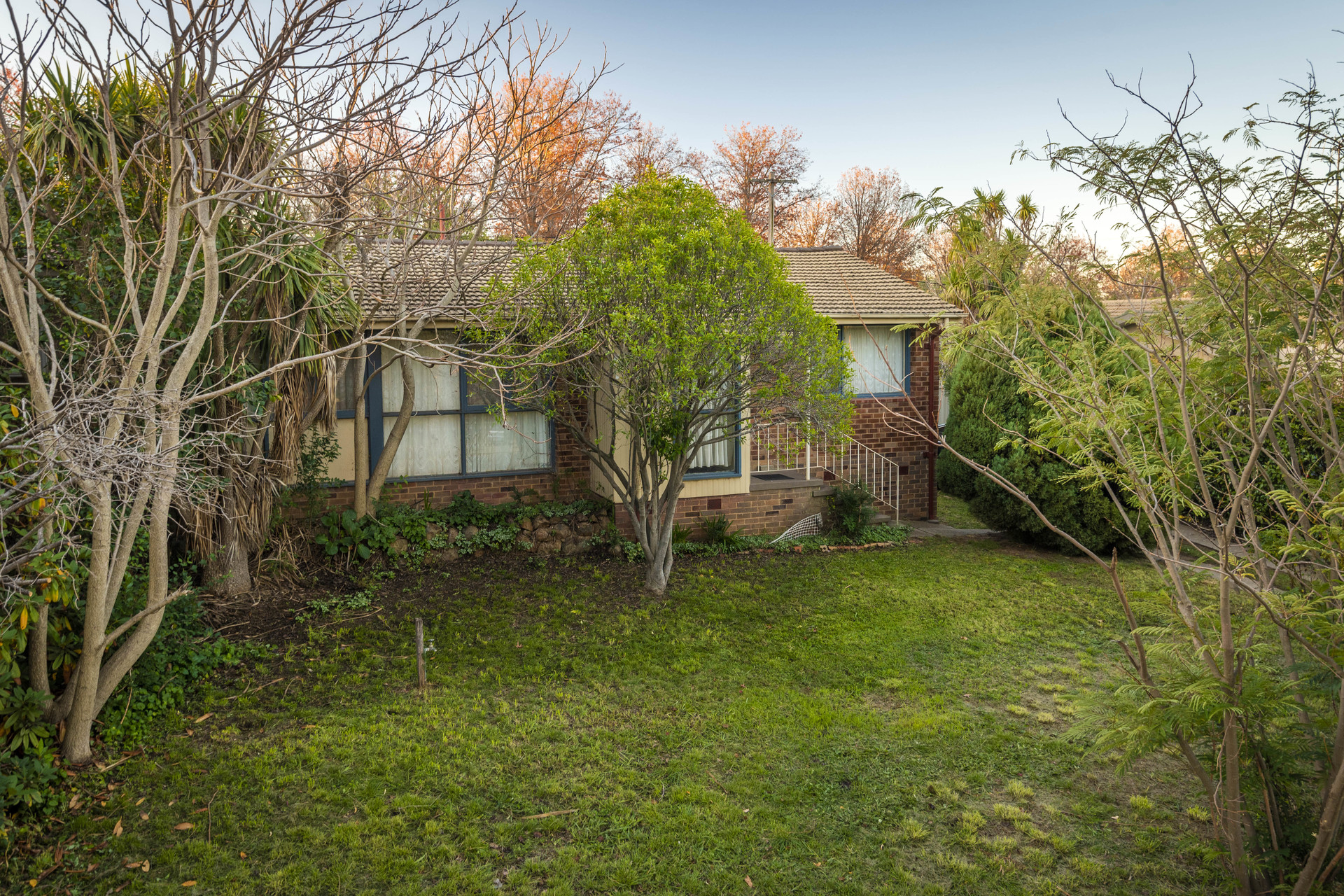 51 Tallara Parkway, Narrabundah ACT 2604, Narrabundah - Thumbnail 3