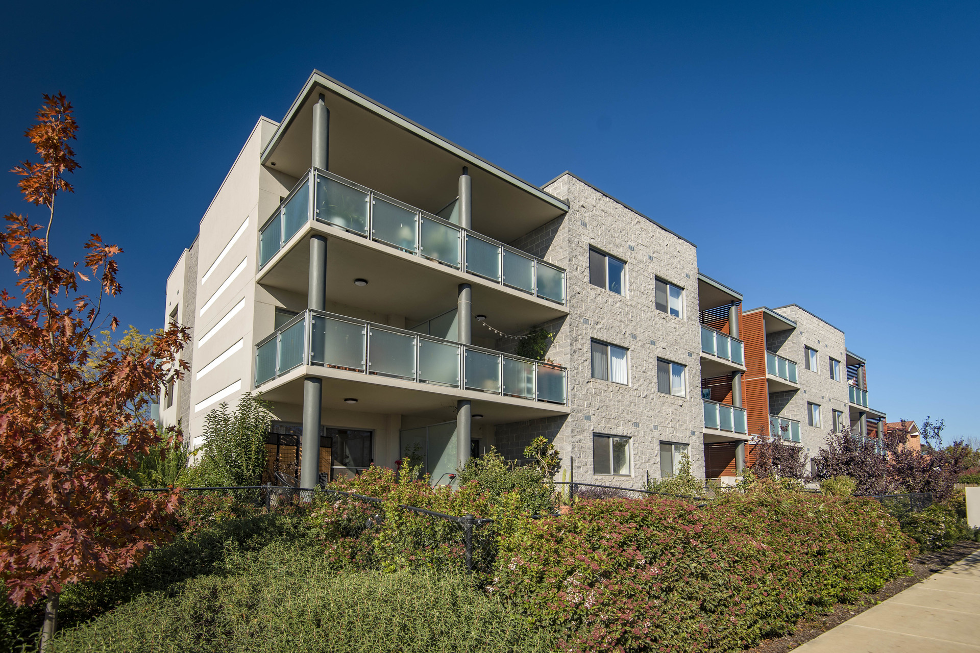5/14 McGowan Street, Dickson ACT 2602, Dickson - Thumbnail 6