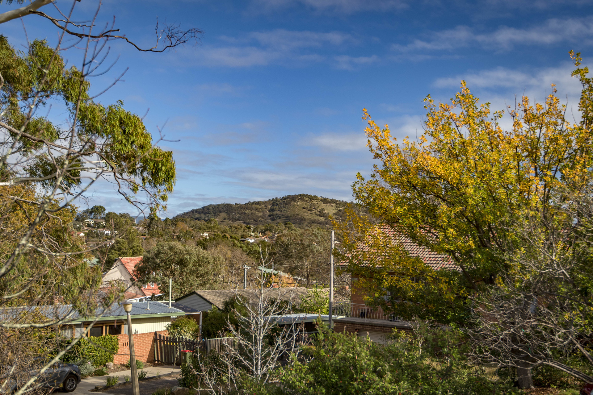 7 Hagelthorn Street, Farrer ACT 2607, Farrer - Thumbnail 2