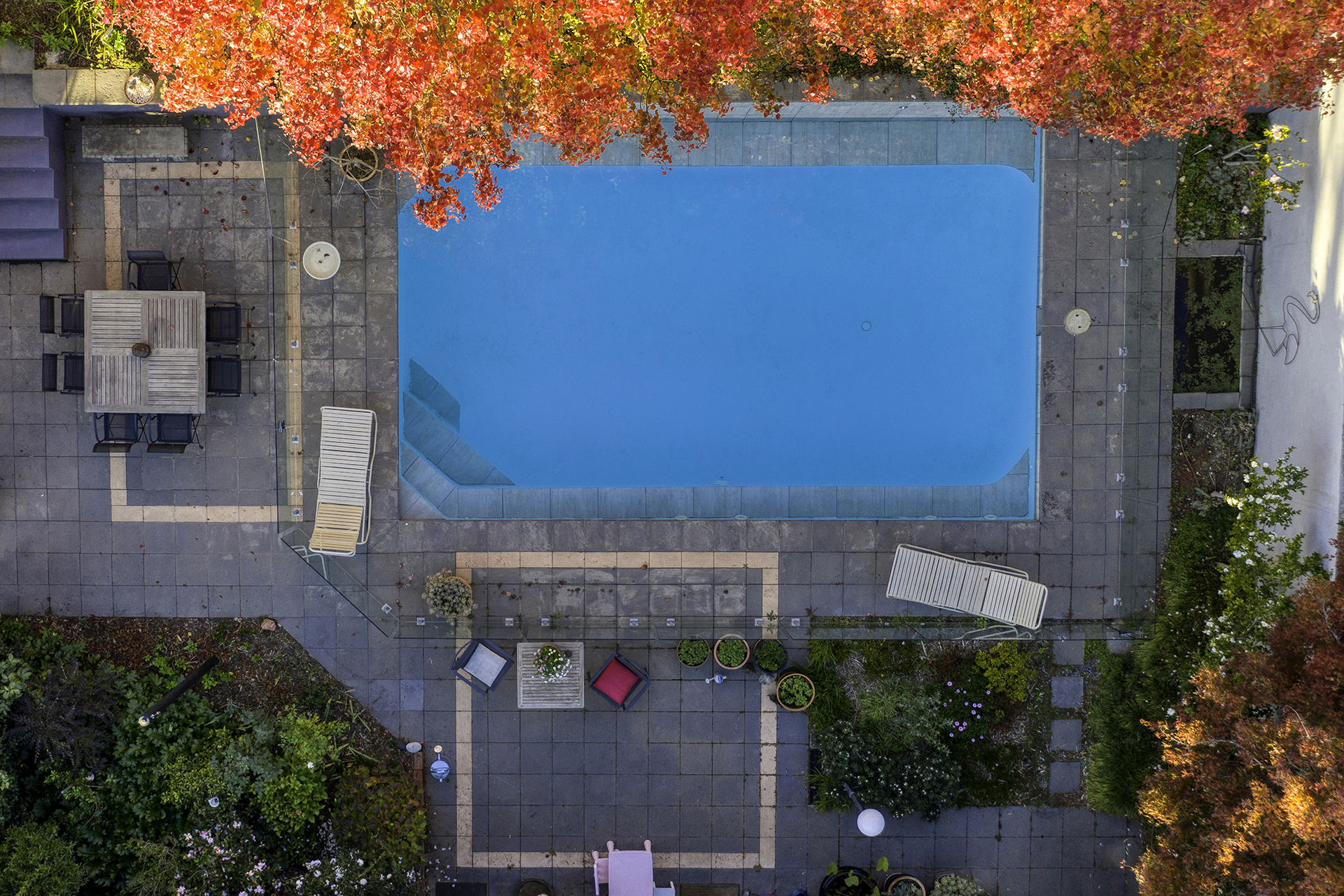 34 Duffy Street, Ainslie ACT 2602, Ainslie - Thumbnail 2