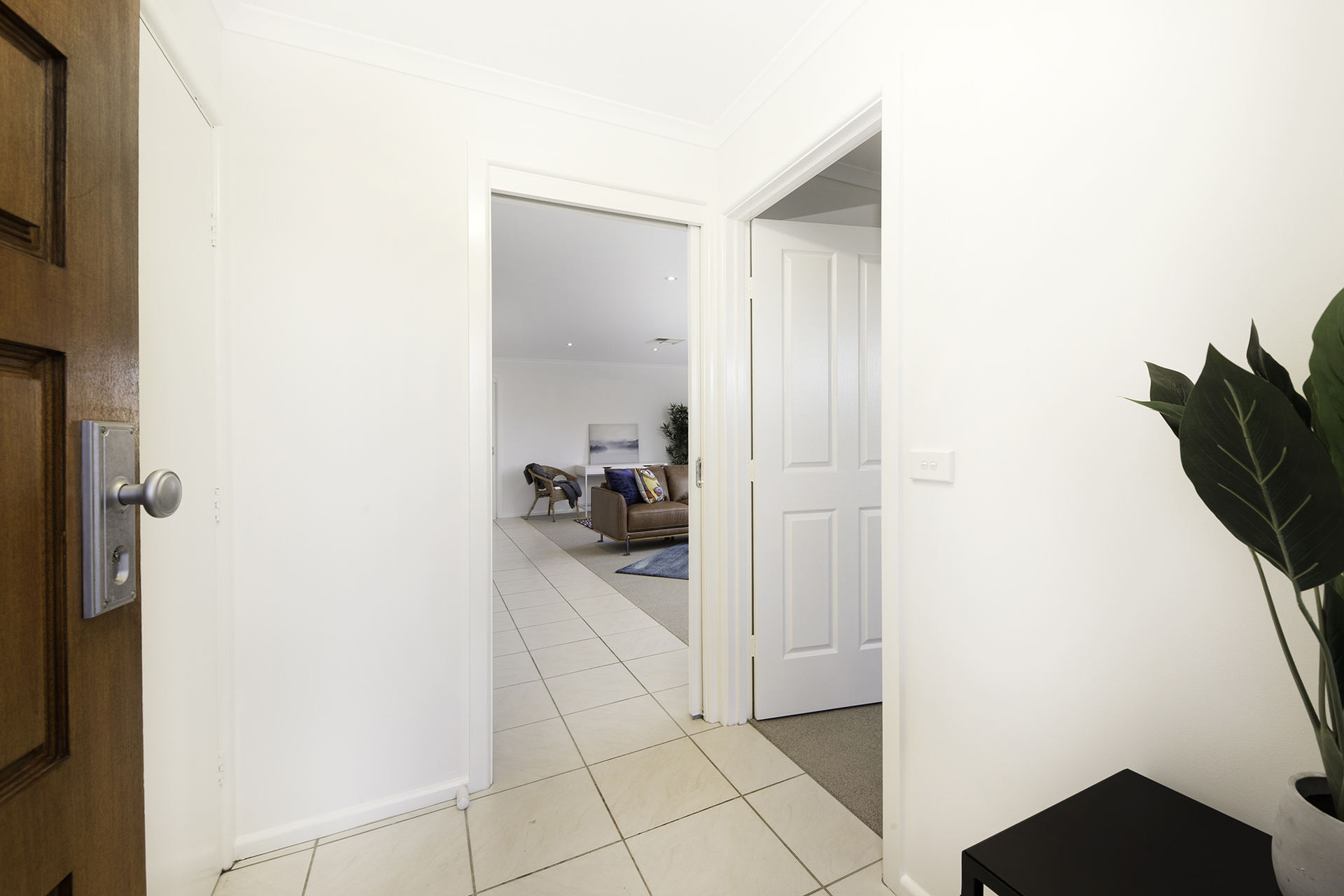 19 Olary Street, Amaroo ACT 2914, Amaroo - Thumbnail 3