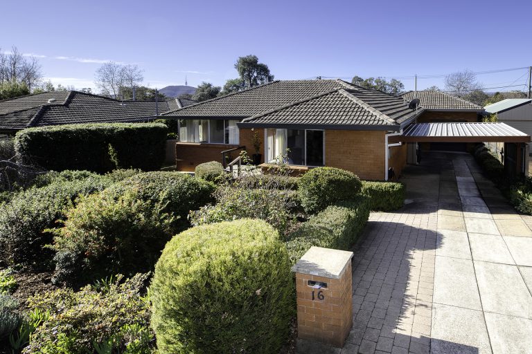 Preview image for Buy