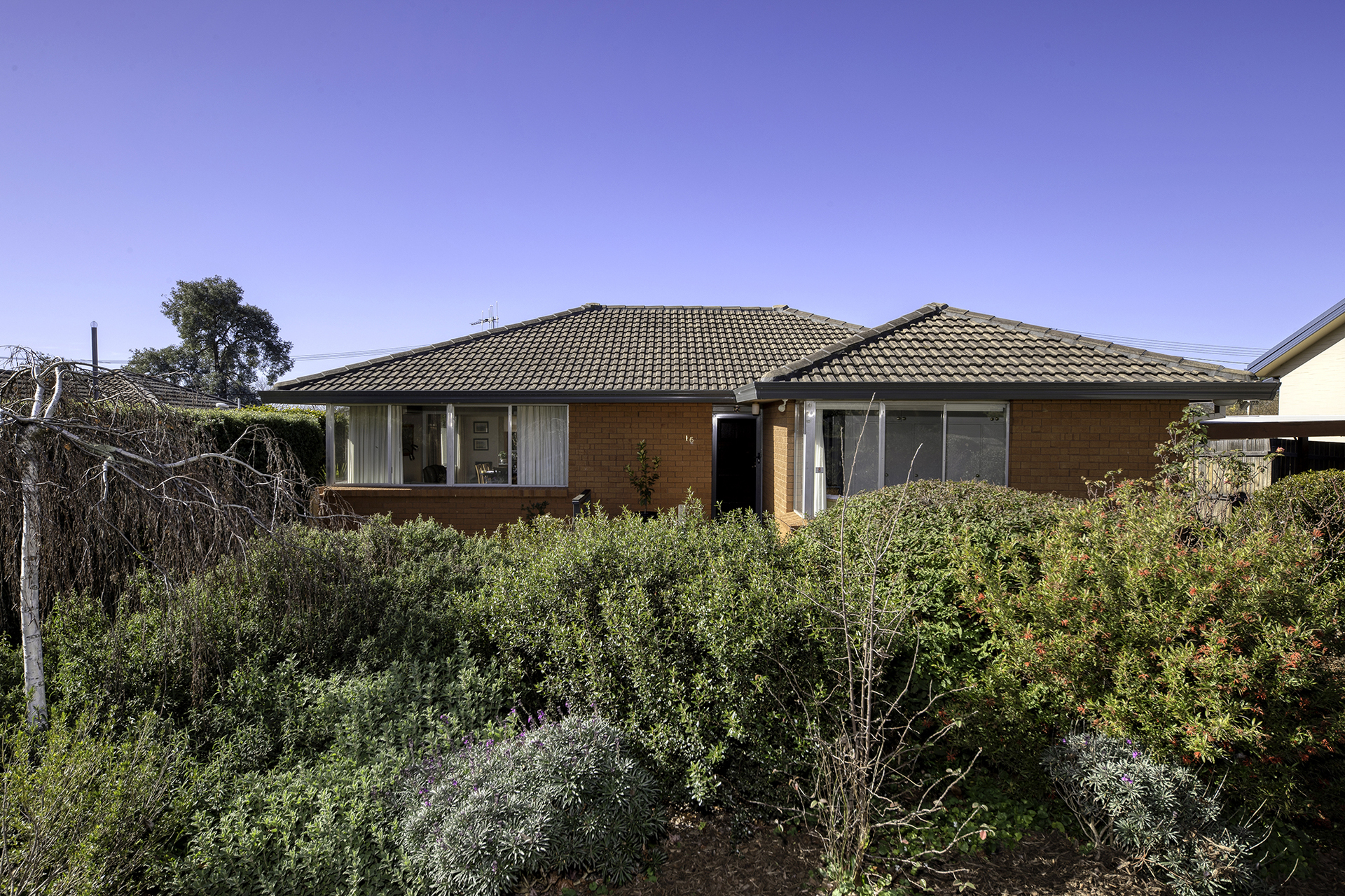16 Cockburn Street, Curtin ACT 2605, Curtin - Thumbnail 2