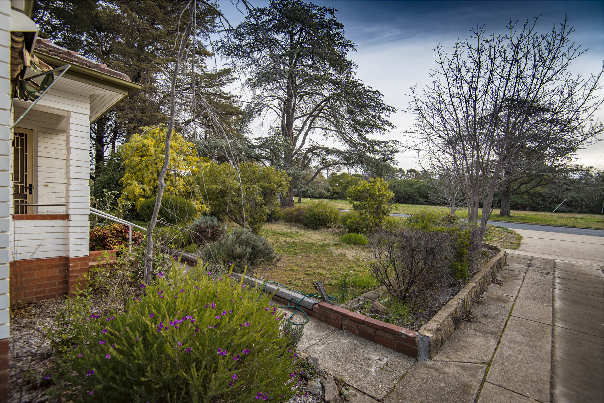 32 Banks Street, Yarralumla ACT 2600, Yarralumla - Thumbnail 7