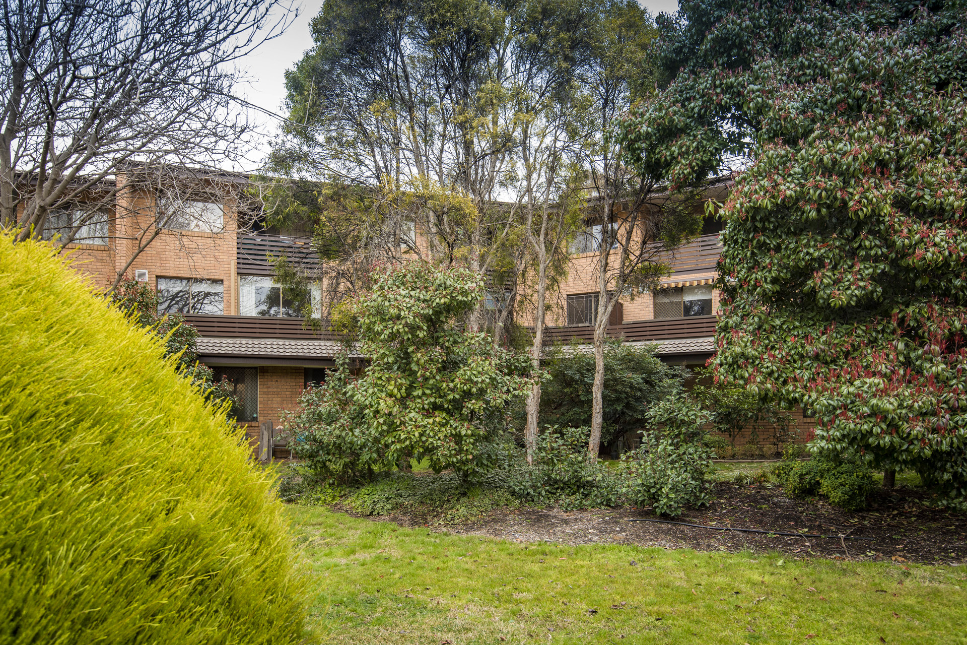 39/17 Medley Street, Chifley ACT 2606, Chifley - Thumbnail 4