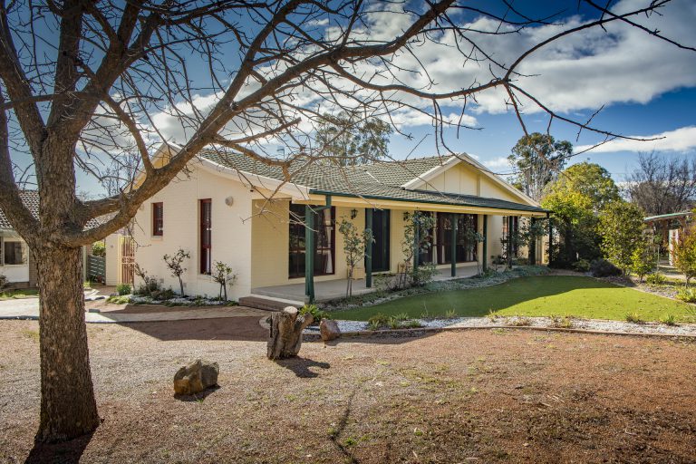 Preview image for Buy