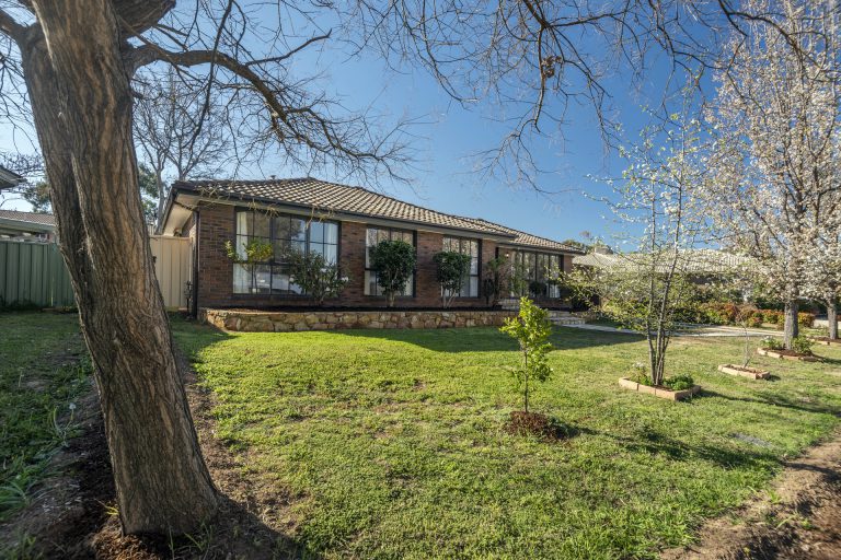 Preview image for Buy