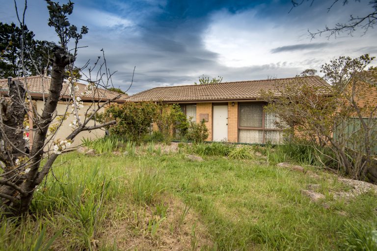 Preview image for Buy