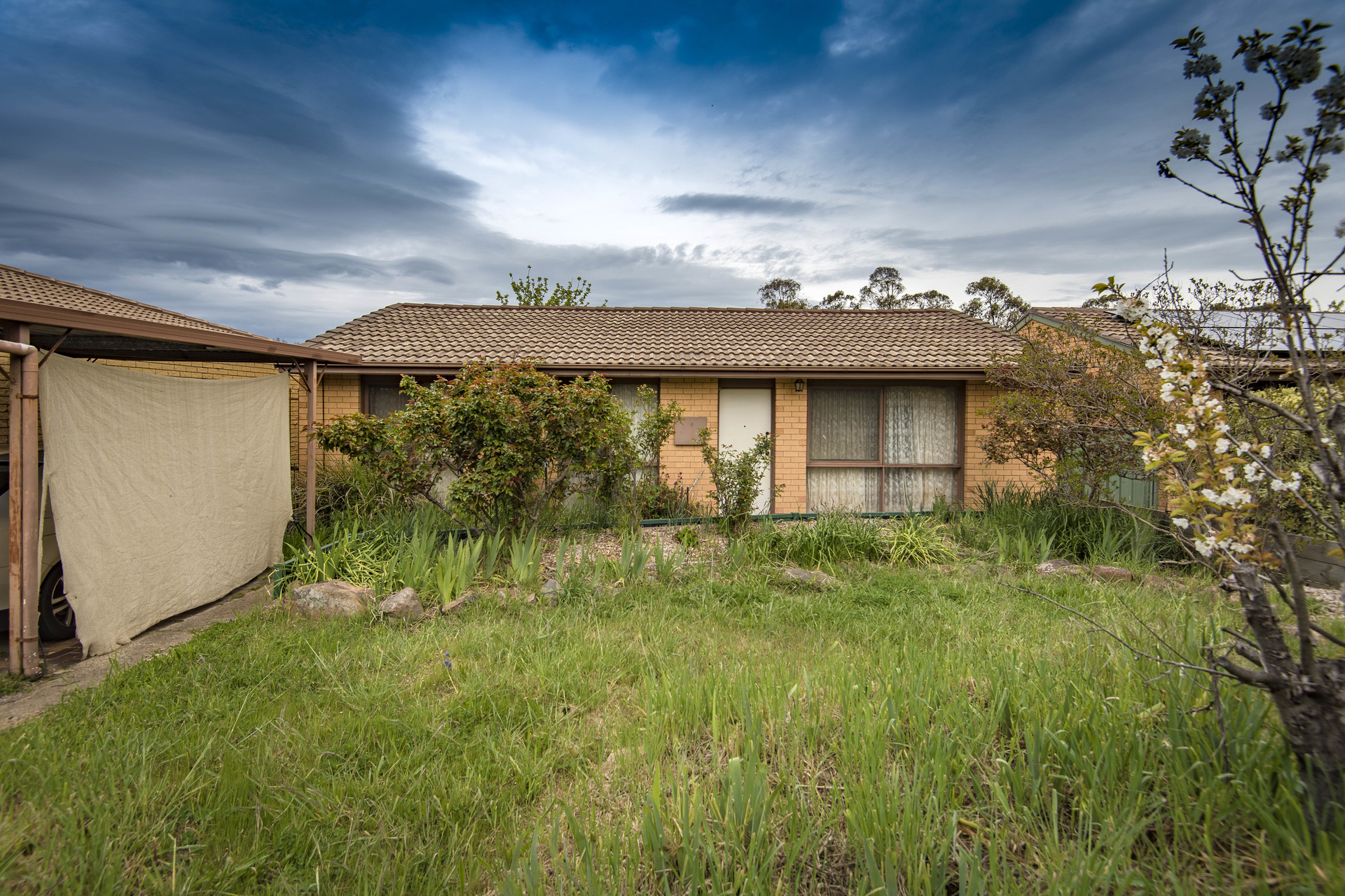 55 Rohan Street, Richardson ACT 2905, Richardson - Thumbnail 3