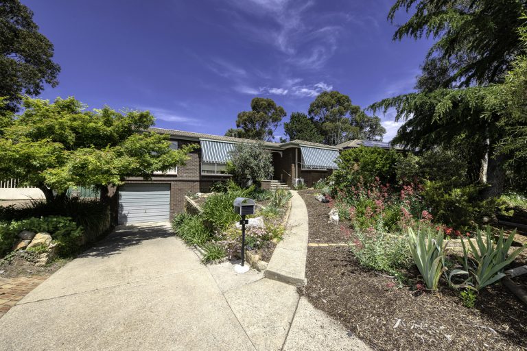 Preview image for Buy