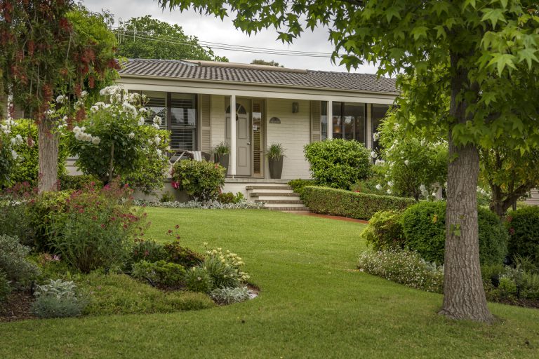 Preview image for Buy