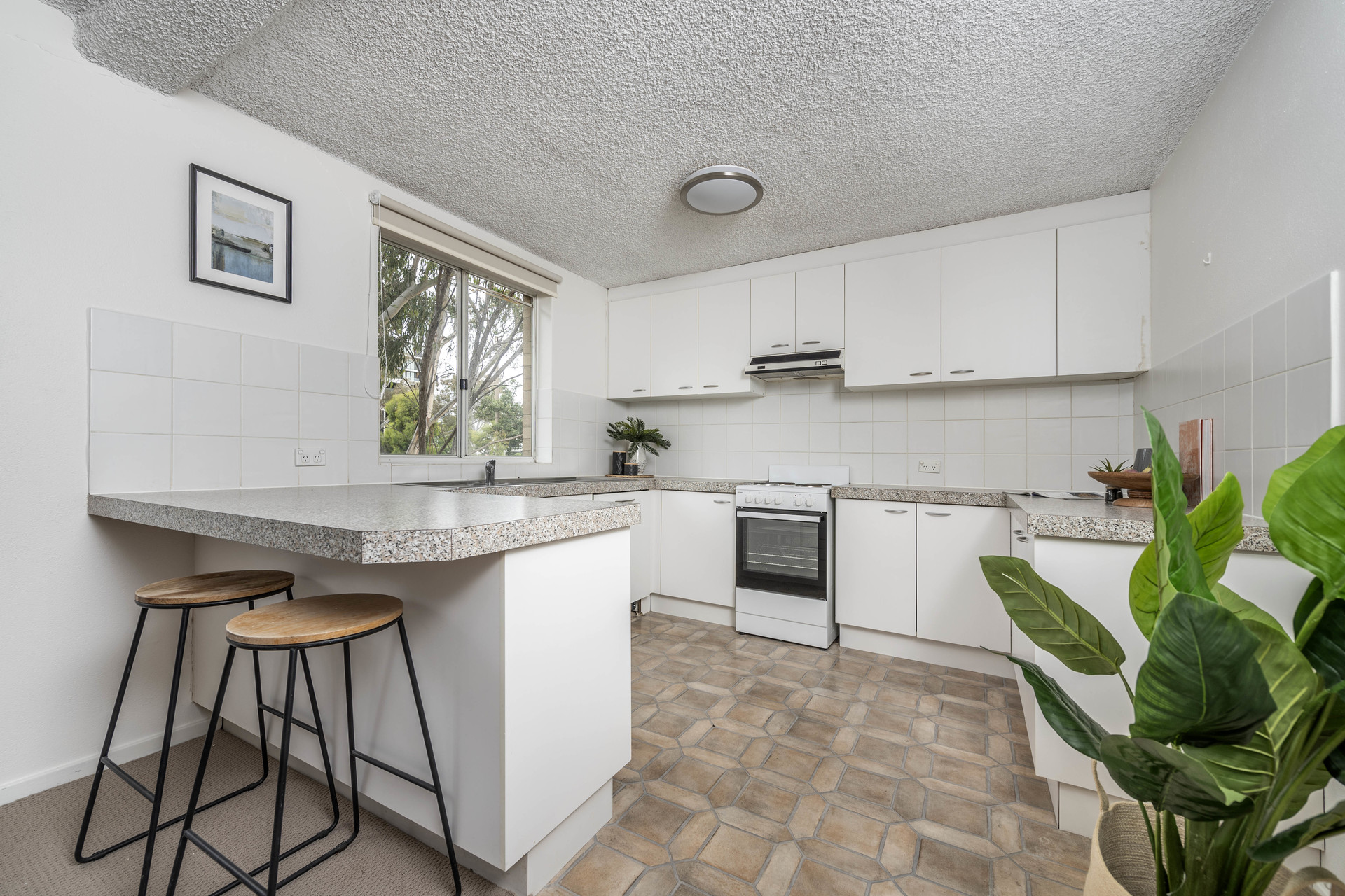 15B/54 Forbes Street, Turner ACT 2612, Turner - Thumbnail 2