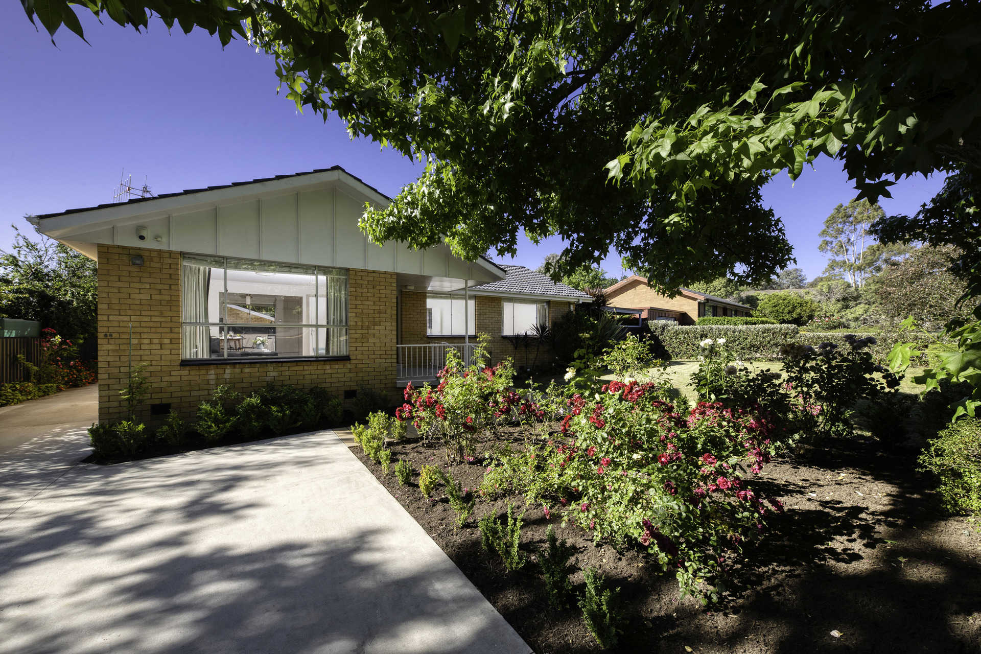 86 Buvelot Street, Weston ACT 2611, Weston - Thumbnail 2