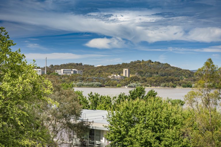 Preview image for Buy