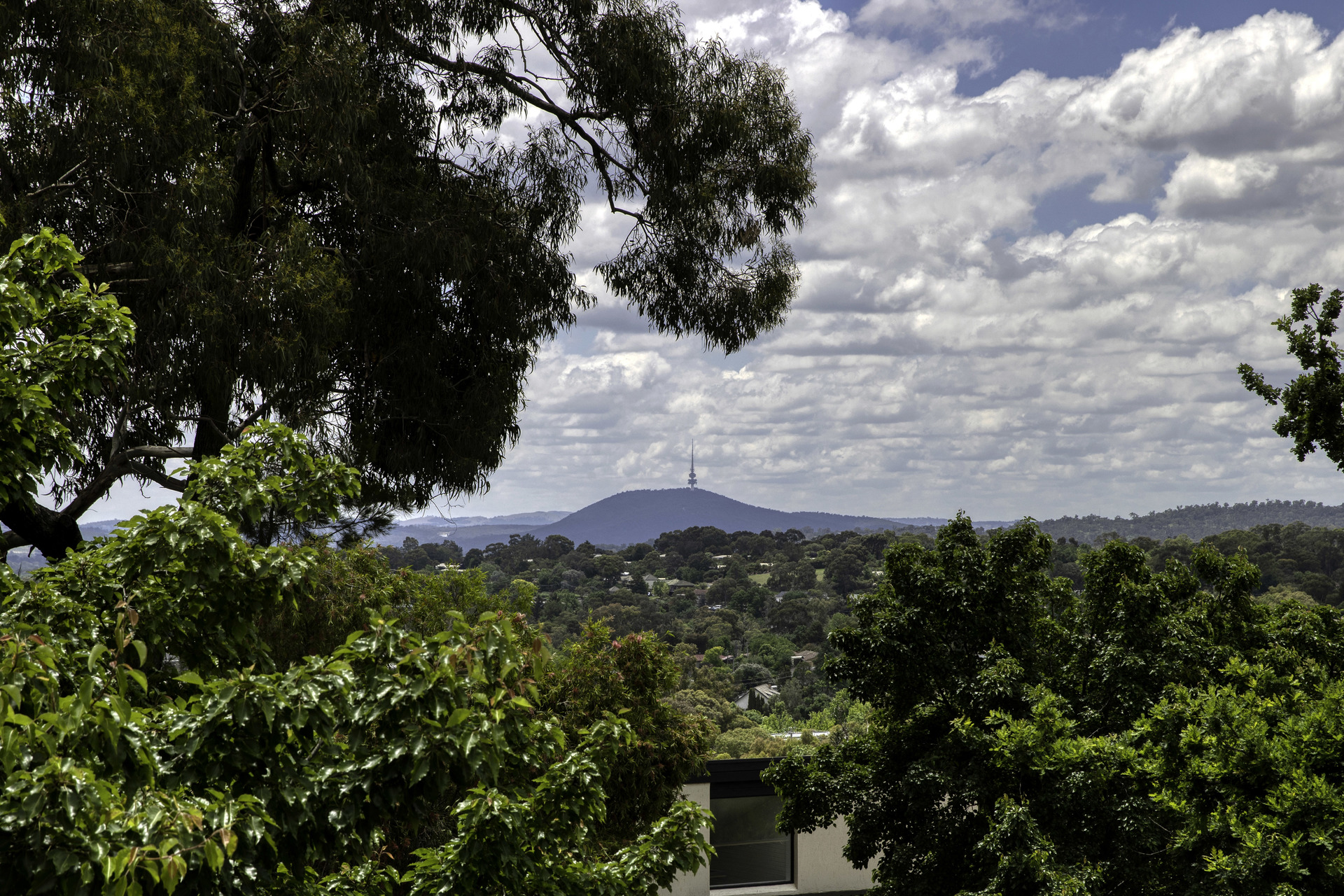 140 Hawkesbury Crescent, Farrer ACT 2607, Farrer - Thumbnail 7
