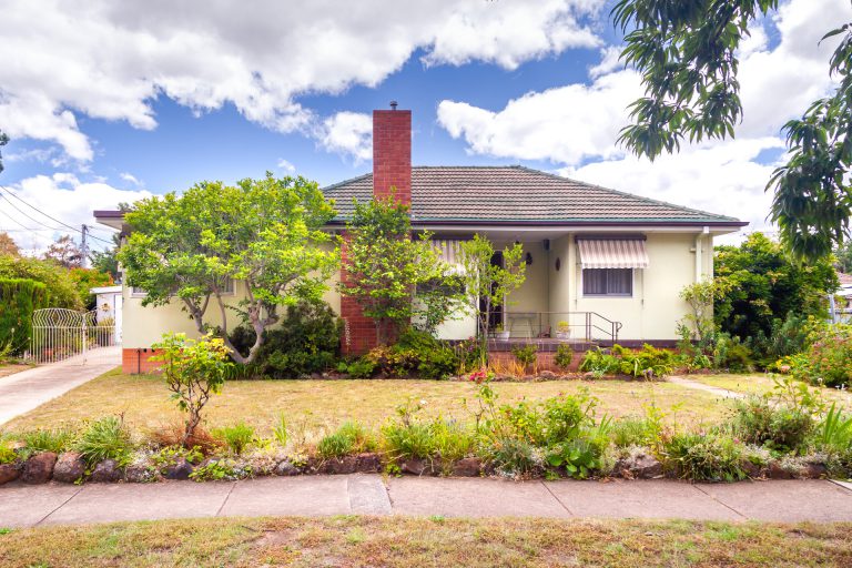 Preview image for Buy