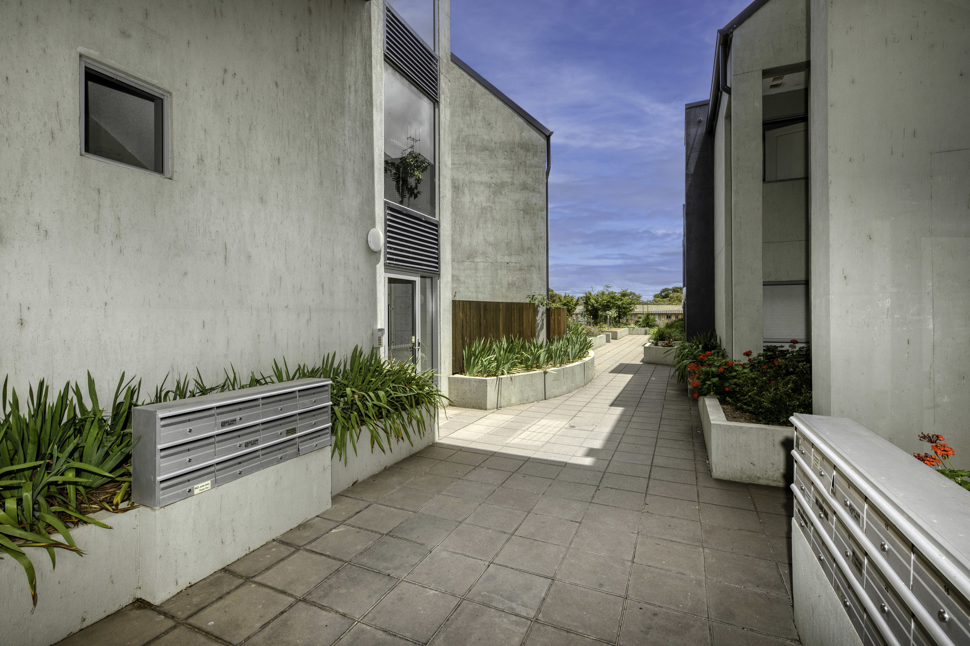 11/15 Strangways Street, Curtin ACT 2605, Curtin - Thumbnail 5
