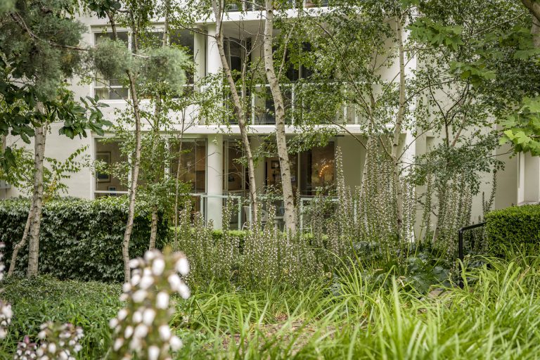 Preview image for Buy