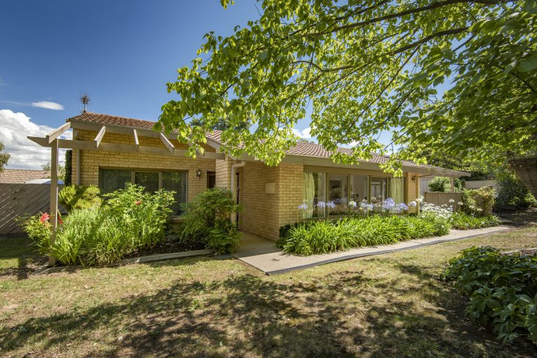 Preview image for Buy