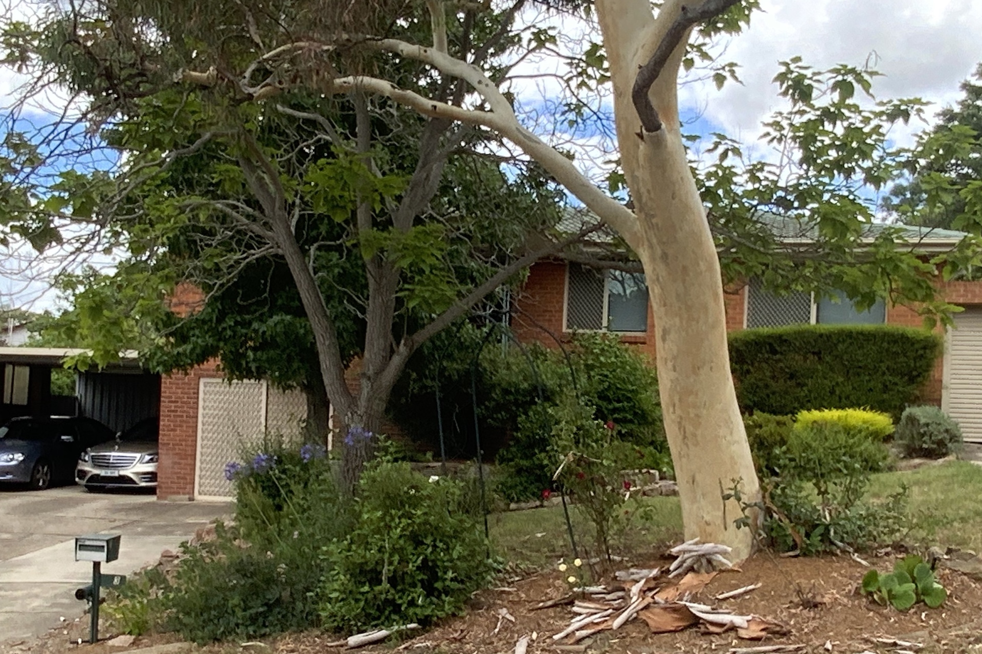 3 Roseworthy Crescent, Farrer ACT 2607, Farrer - Image 1