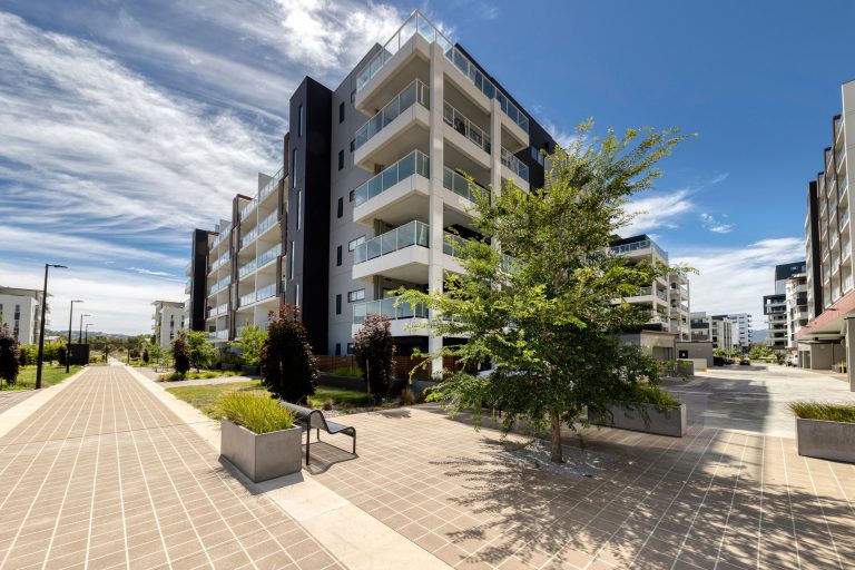 Preview image for Buy