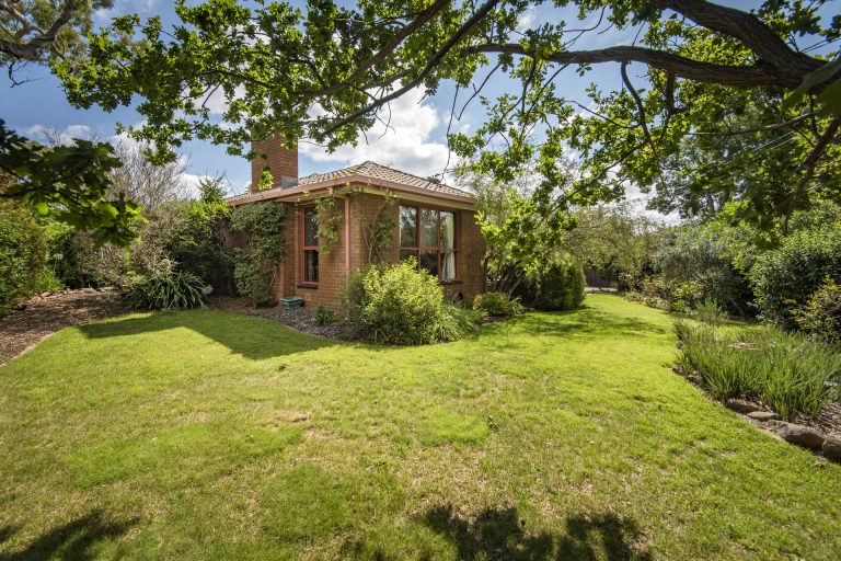 Preview image for Buy