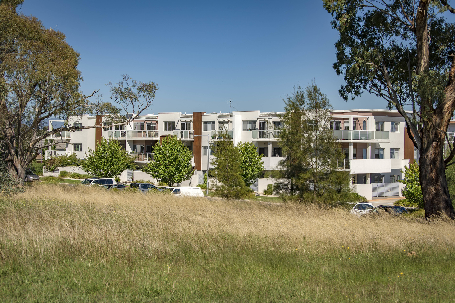 34/4 Thadoona Street, Crace ACT 2911, Crace - Thumbnail 5