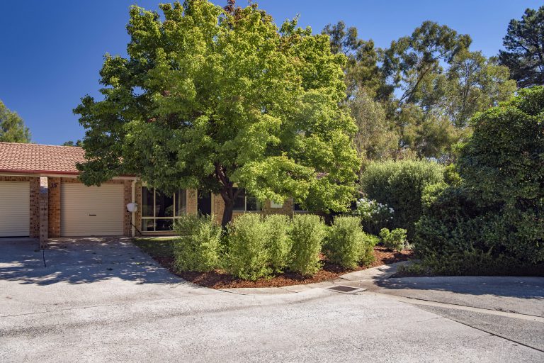 Preview image for Buy