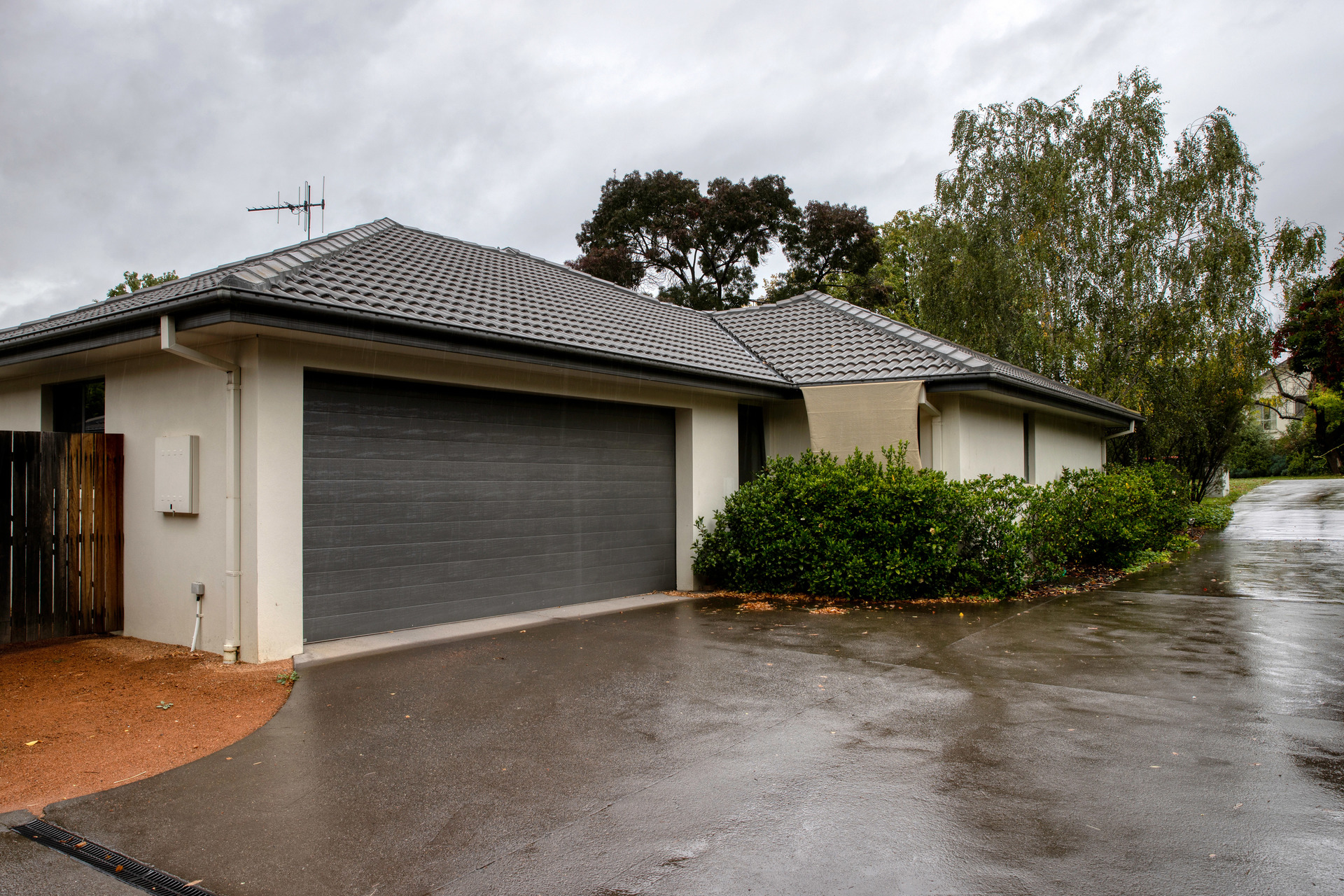 28A Gillies Street, Curtin ACT 2605, Curtin - Thumbnail 3