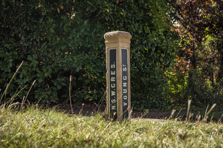 Preview image for Buy