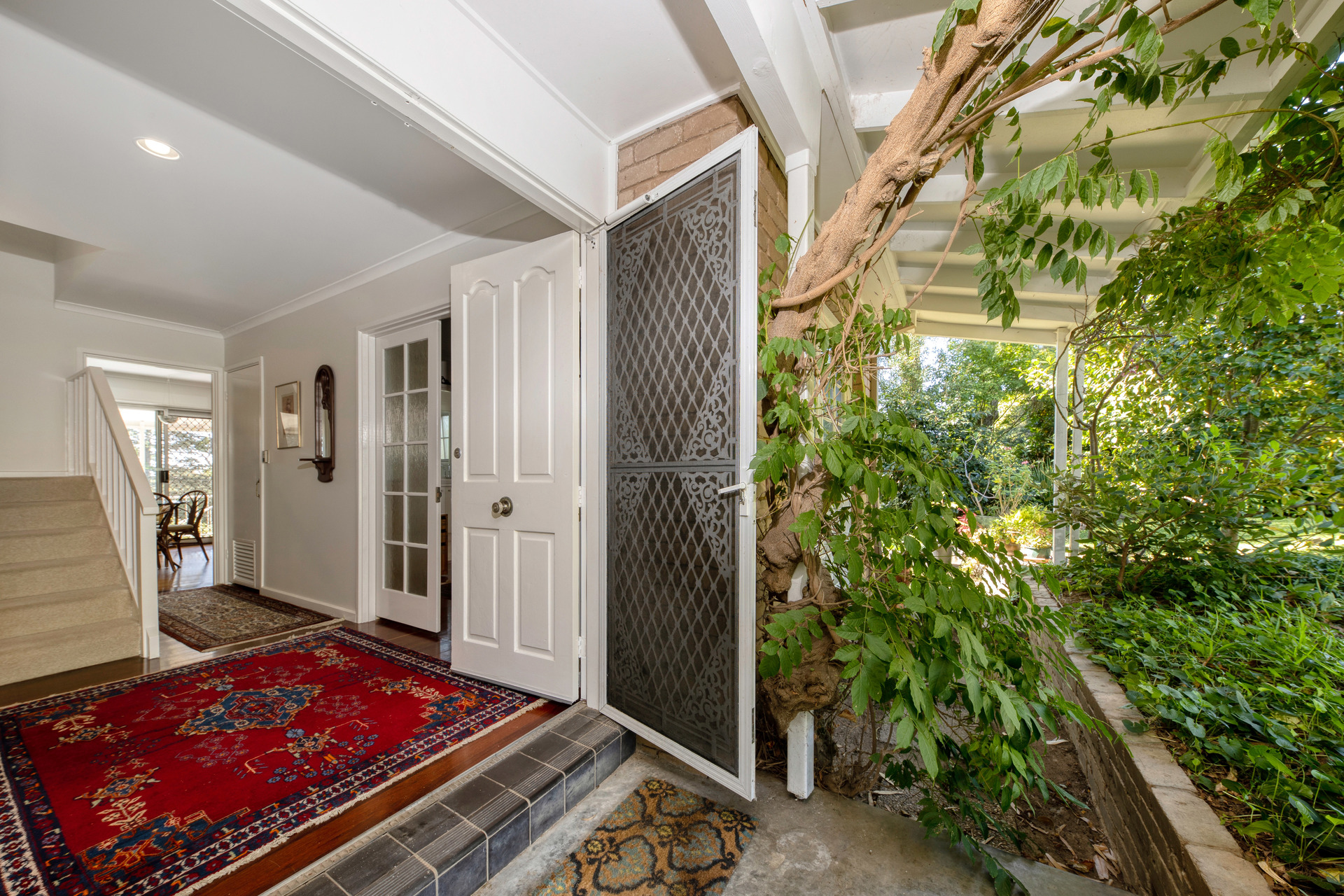3 Steinwedel Street, Farrer ACT 2607, Farrer - Thumbnail 3