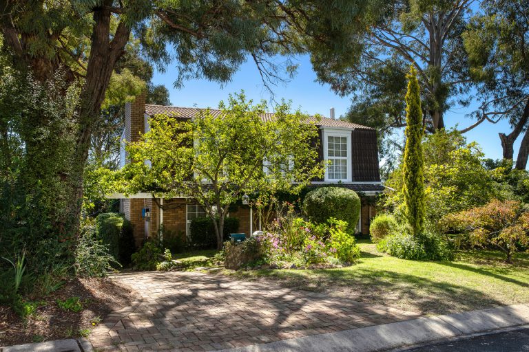 Preview image for Buy