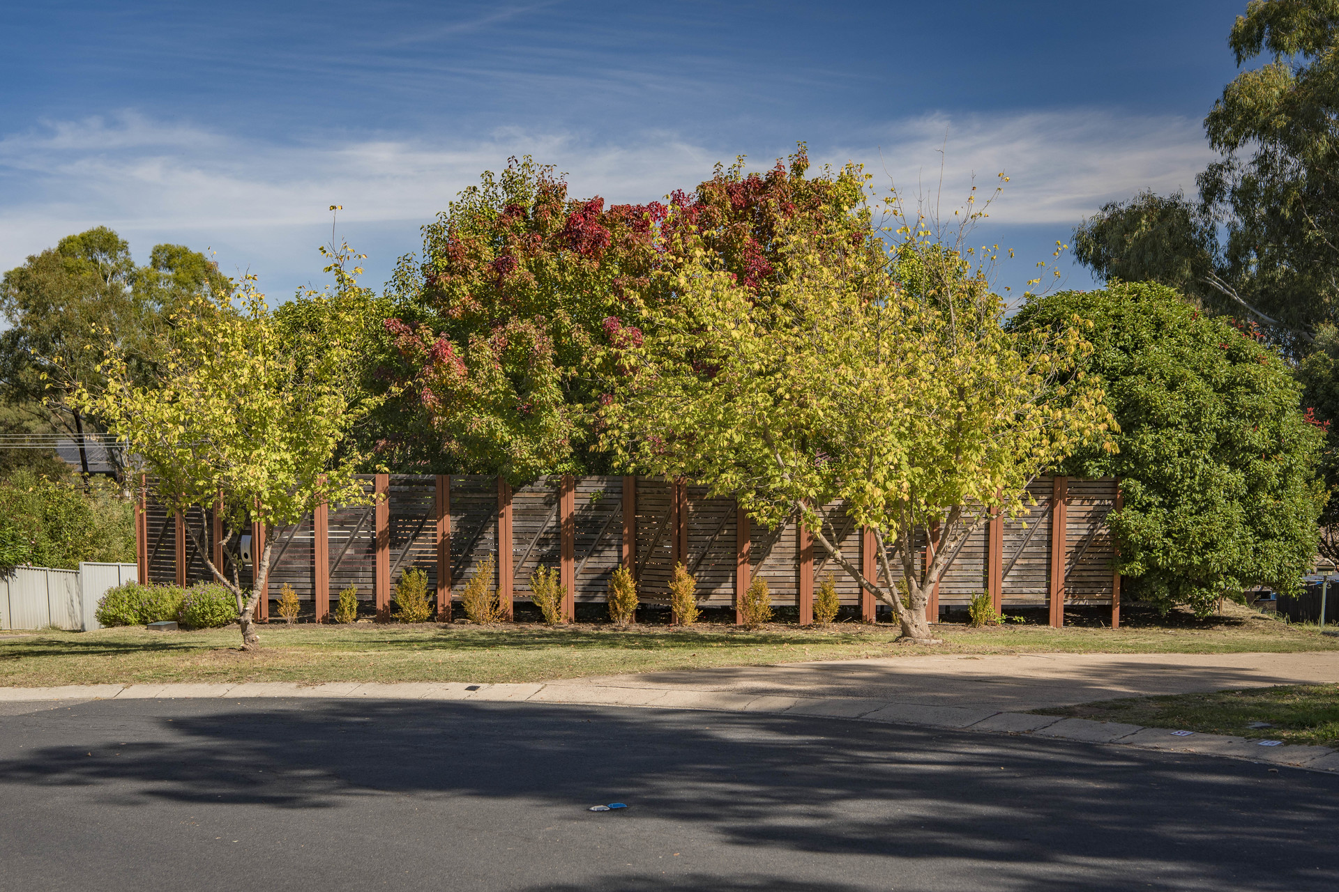 38 Degraves Crescent, Wanniassa ACT 2903, Wanniassa - Thumbnail 4