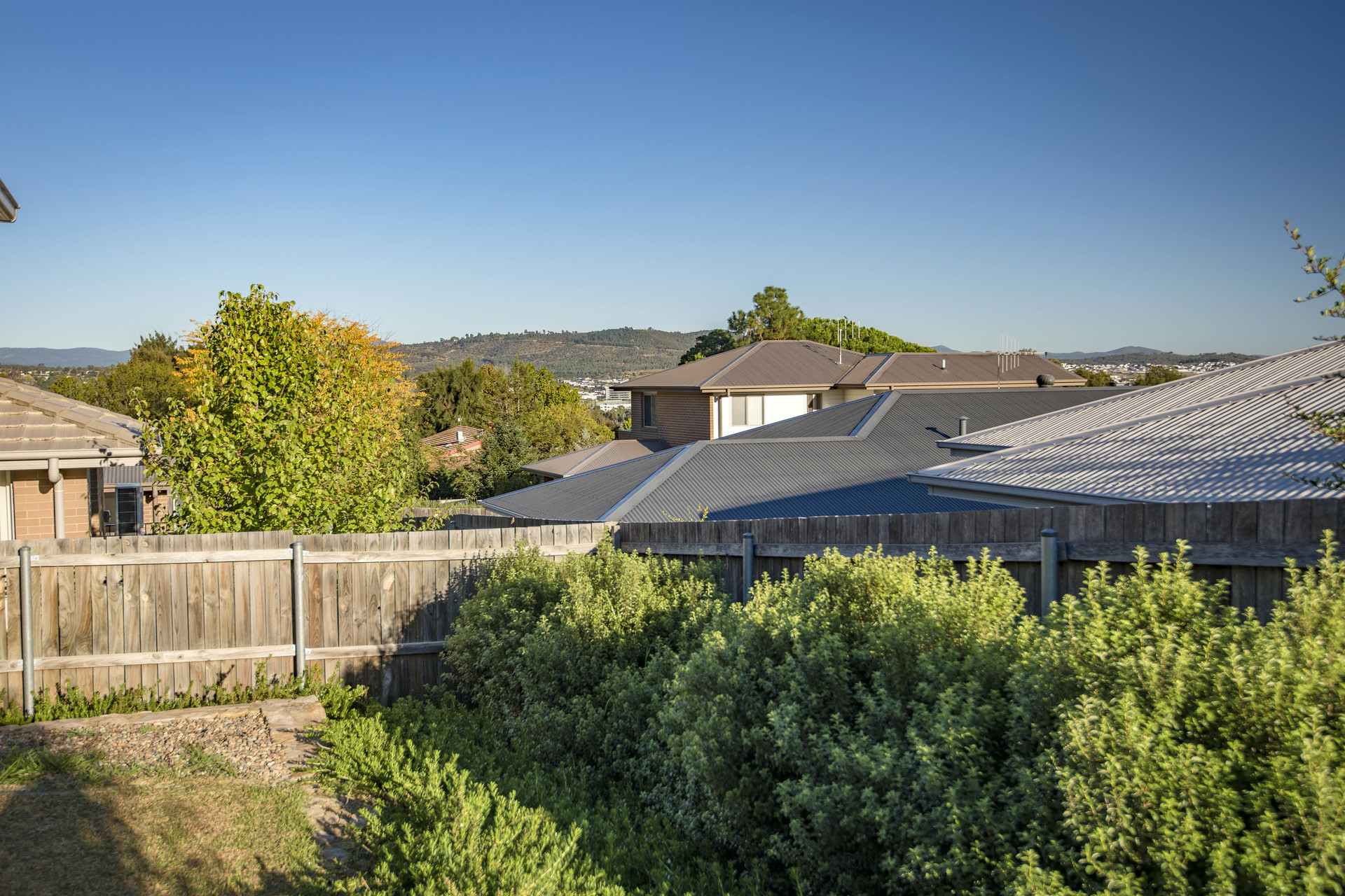 25 Isherwood Street, Weston ACT 2611, Weston - Thumbnail 4