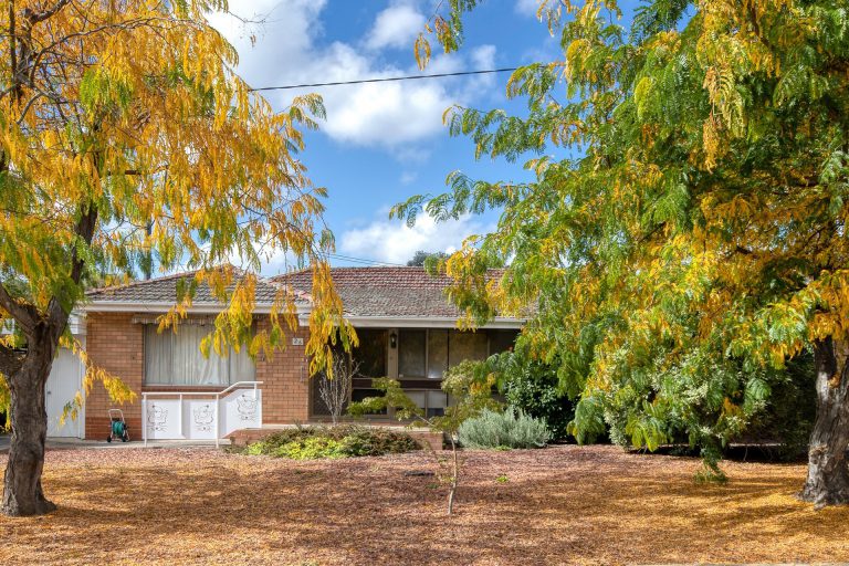 Preview image for Buy