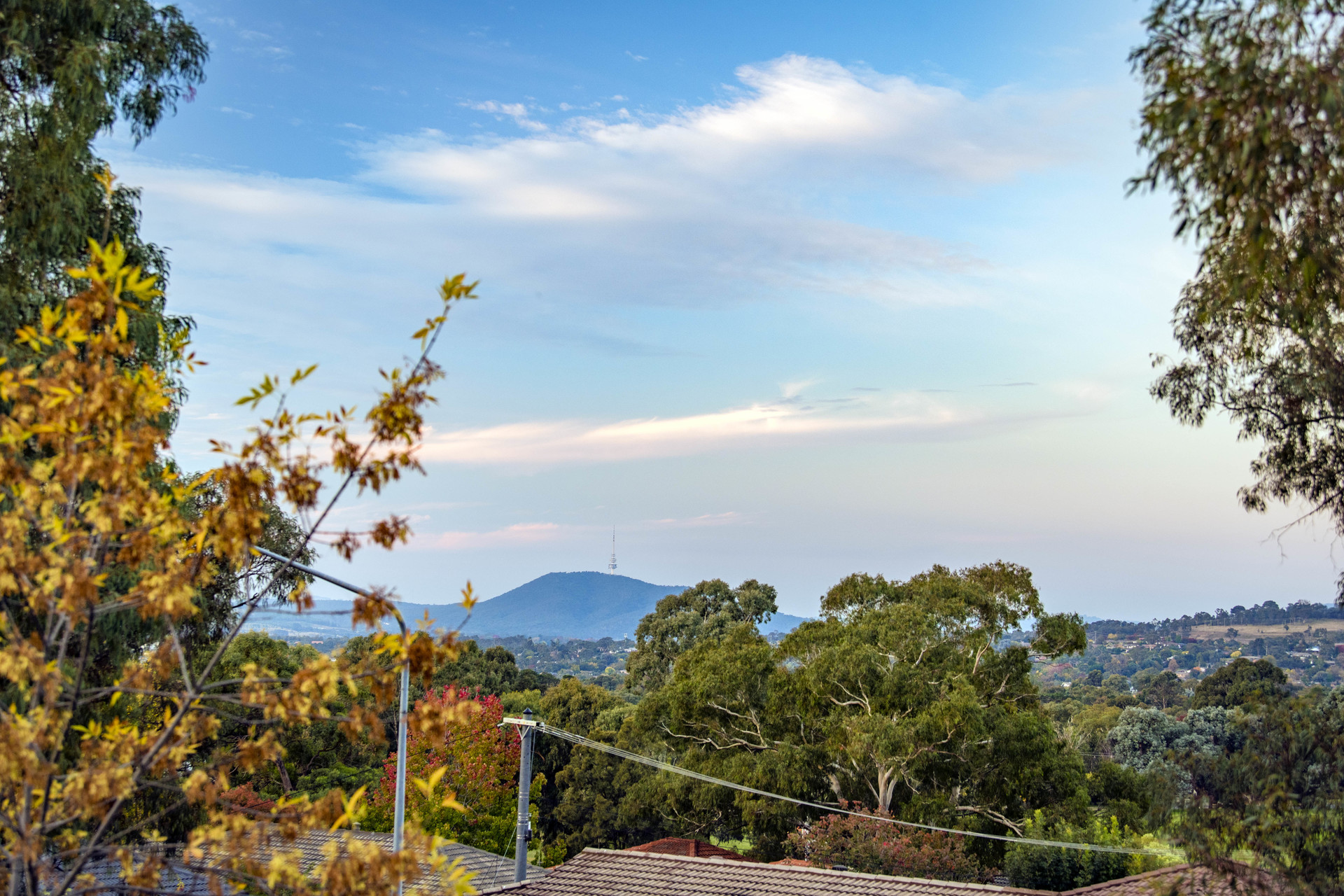 37 Perry Drive, Chapman ACT 2611, Chapman - Thumbnail 2