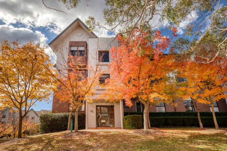 Preview image for Buy