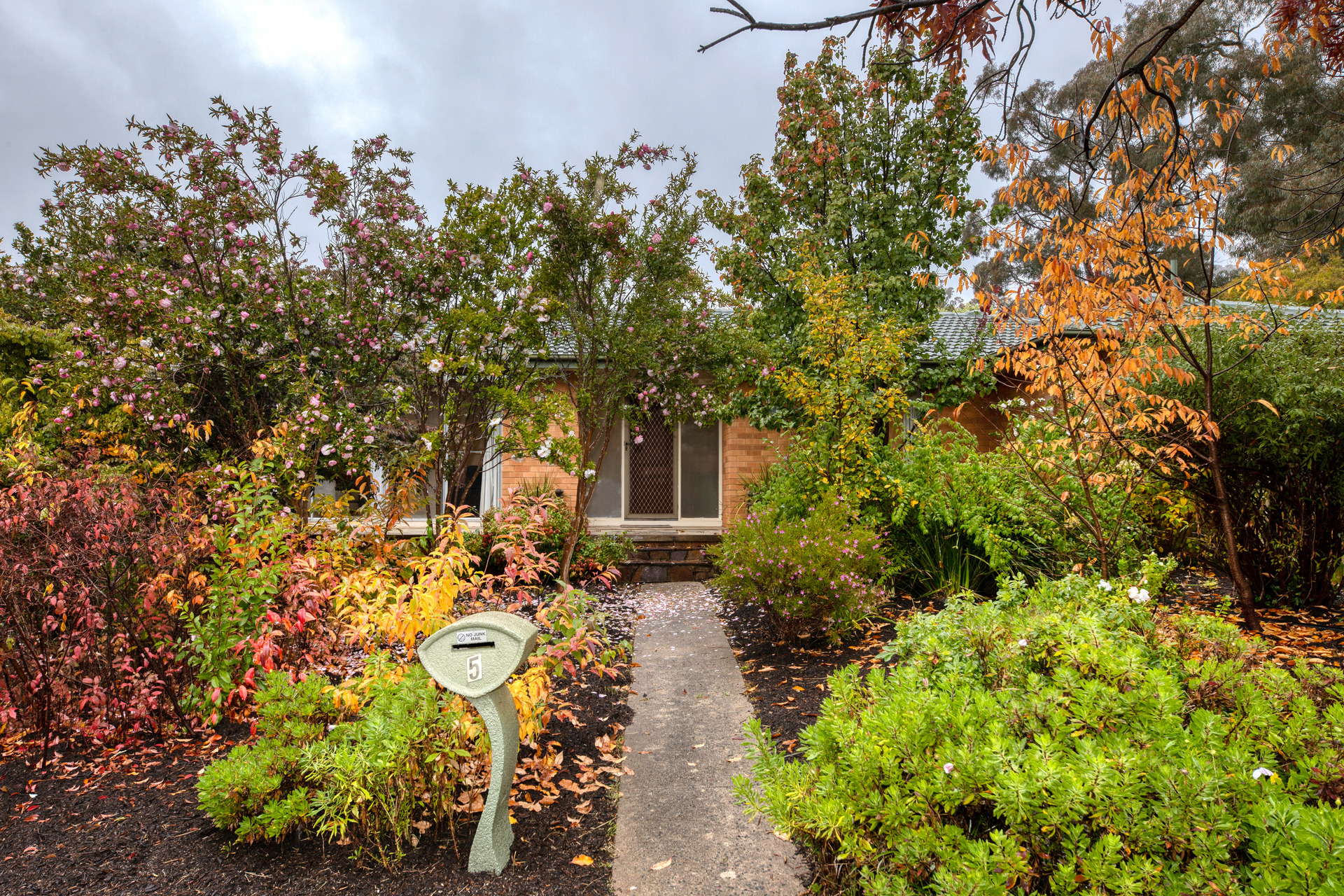 5 Skene Street, Cook ACT 2614, Cook - Thumbnail 2