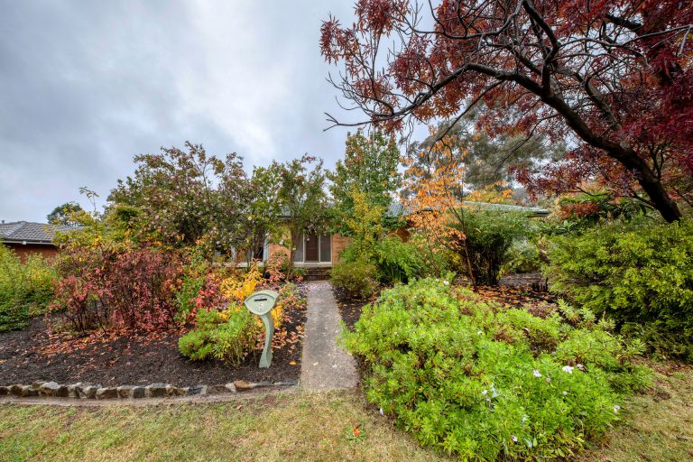 Preview image for Buy