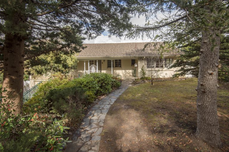 Preview image for Buy