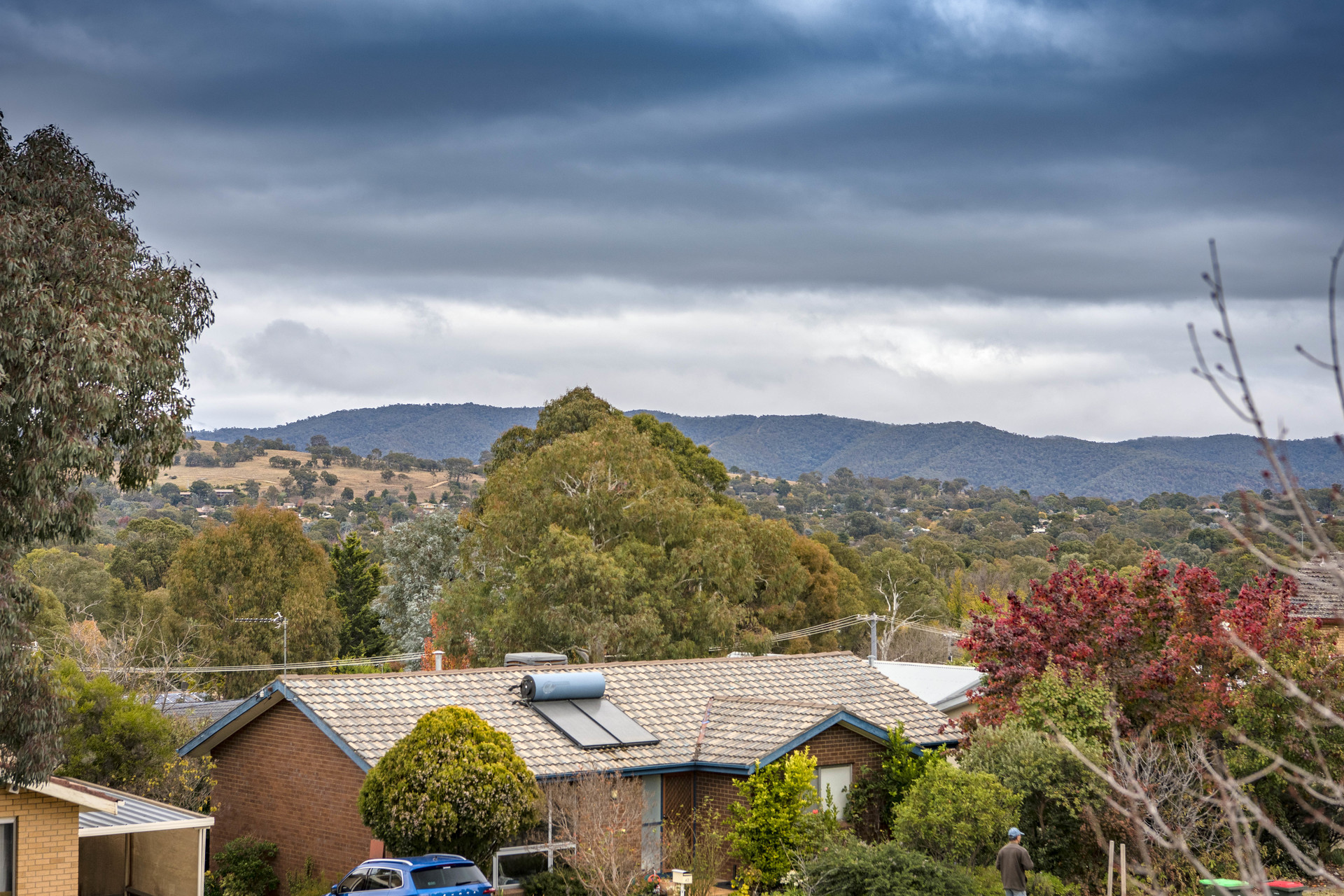 39 Summerland Circuit, Kambah ACT 2902, Kambah - Thumbnail 2