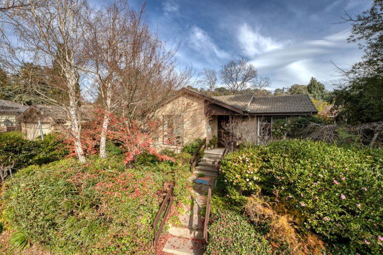 Preview image for Buy