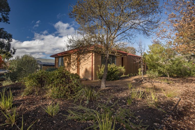 Preview image for Buy