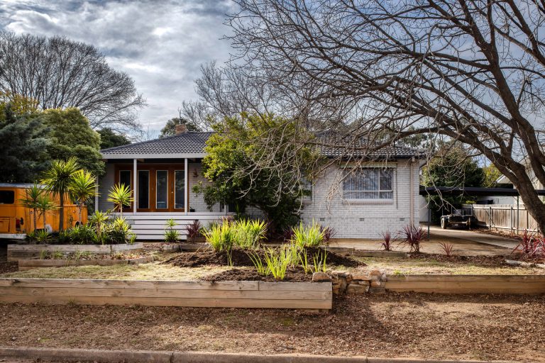 Preview image for Buy